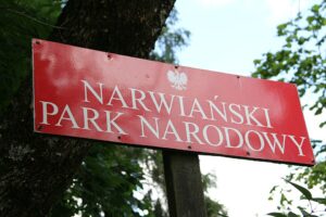 3,5 km zamiast 22 km. Będzie przejazd przez Narew?